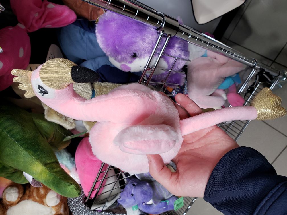 flamingle